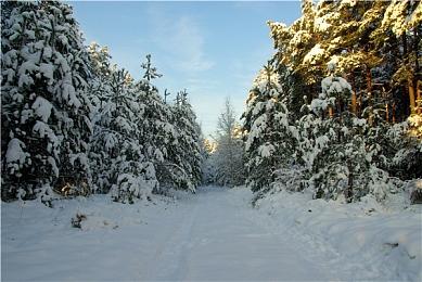 《未命名穿越记录》现已发售 首周优惠29.6元