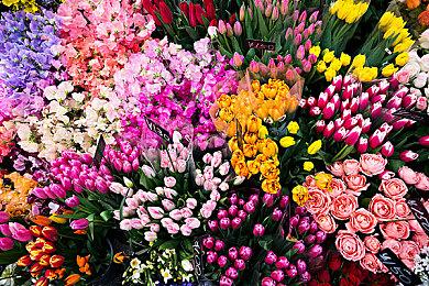 最高可享70%折扣 Xbox春季促销现已正式开启